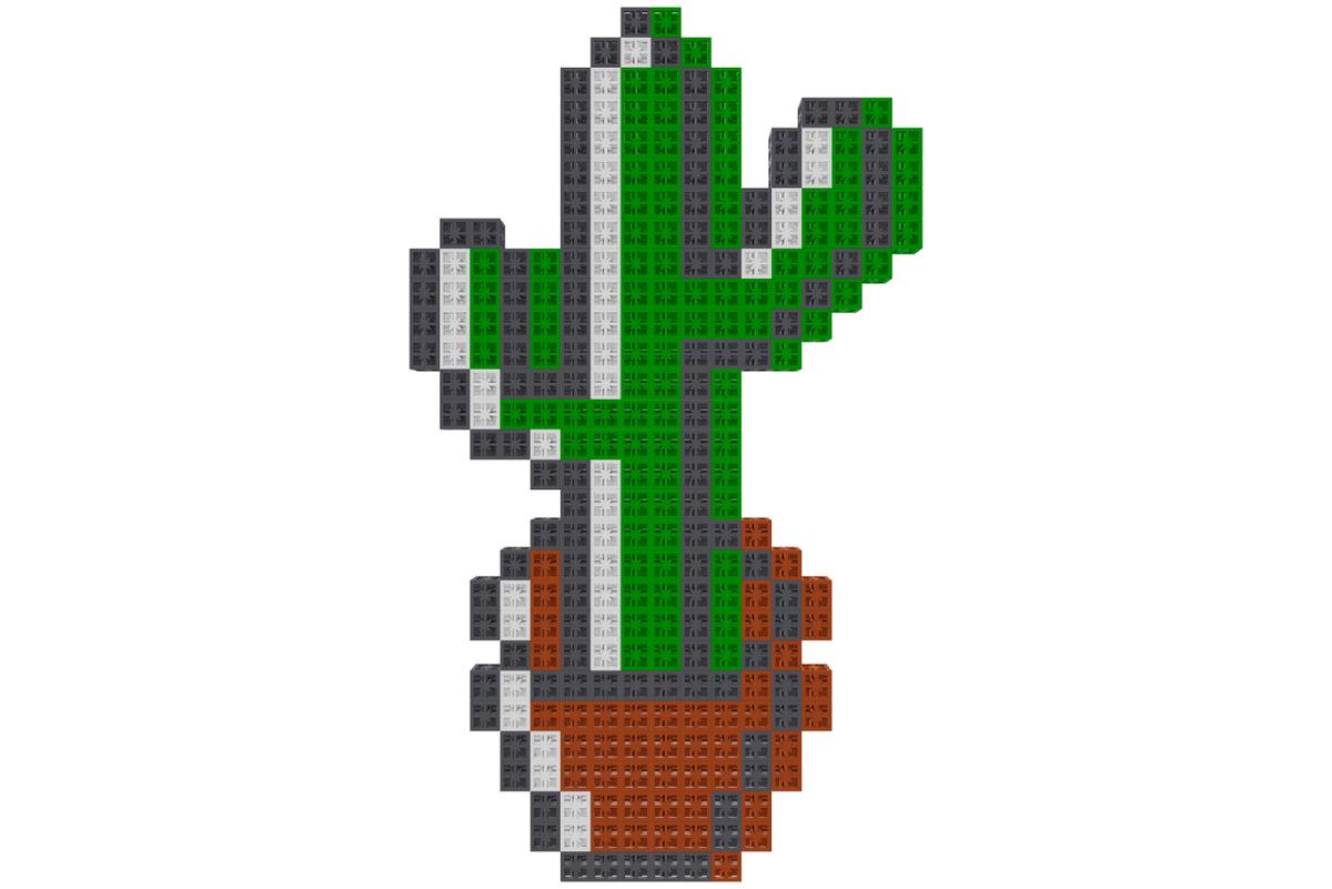 цветок в горшке кактус